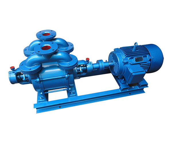 SK水環(huán)式真空泵