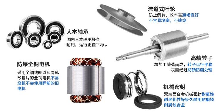 IHG型不銹鋼立式單級(jí)離心泵細(xì)節(jié)