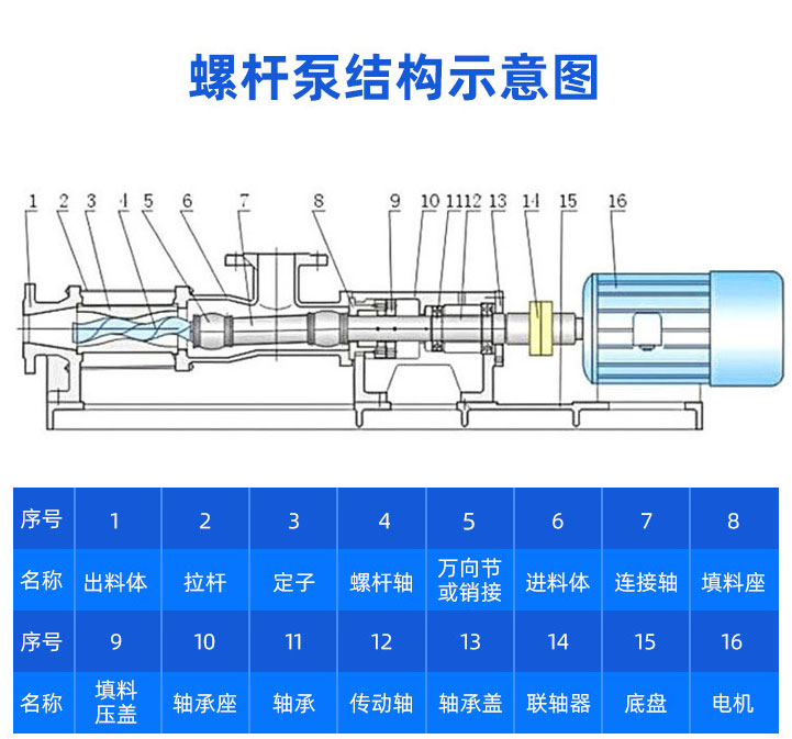 GF型不銹鋼單螺桿泵結構圖紙