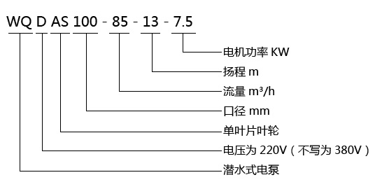 QWAS無堵塞切割排污泵型號意義