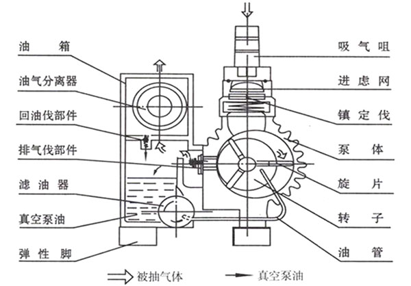 XD單級旋片式真空泵結構圖