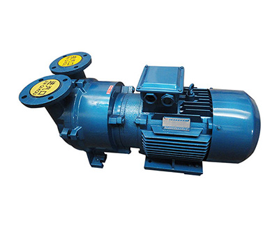 2BV水環式真空泵